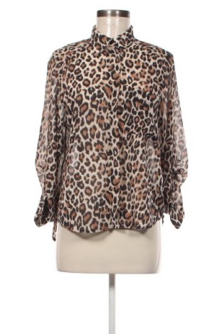 Damenbluse H&M, Größe L, Farbe Mehrfarbig, Preis 10,99 €