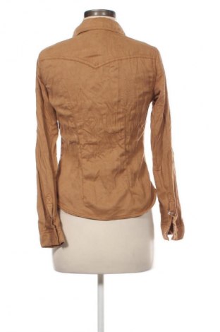 Damenbluse H&M, Größe M, Farbe Braun, Preis € 12,79