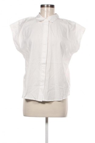 Damska koszula Hechter, Rozmiar L, Kolor Biały, Cena 232,99 zł