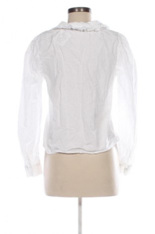 Damska koszula Laura Torelli, Rozmiar S, Kolor Biały, Cena 67,13 zł