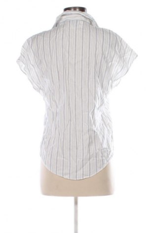 Damenbluse Massimo Dutti, Größe S, Farbe Mehrfarbig, Preis 32,99 €