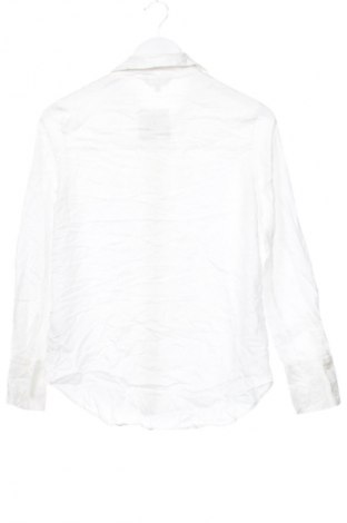 Damenbluse Massimo Dutti, Größe XS, Farbe Weiß, Preis 37,99 €