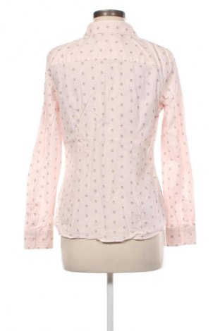 Damska koszula Montego, Rozmiar L, Kolor Kolorowy, Cena 48,33 zł