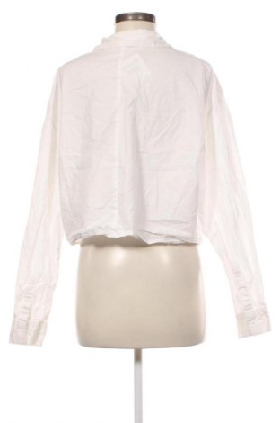 Dámska košeľa  Terranova, Veľkosť L, Farba Biela, Cena  12,79 €