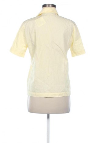 Damska koszula Van Laack, Rozmiar S, Kolor Złocisty, Cena 172,09 zł