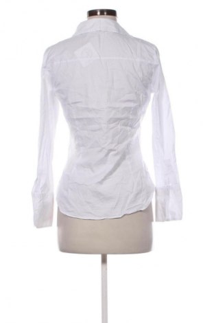 Damska koszula Zara, Rozmiar L, Kolor Biały, Cena 63,99 zł