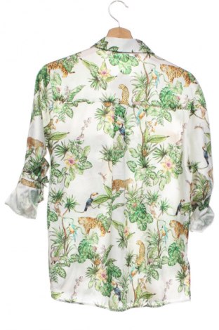 Damenbluse Zara, Größe XS, Farbe Mehrfarbig, Preis 14,00 €
