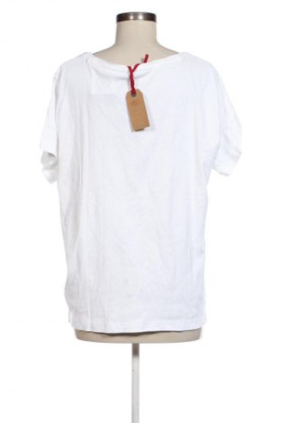 Damski T-shirt Kangaroos, Rozmiar XXL, Kolor Biały, Cena 88,99 zł