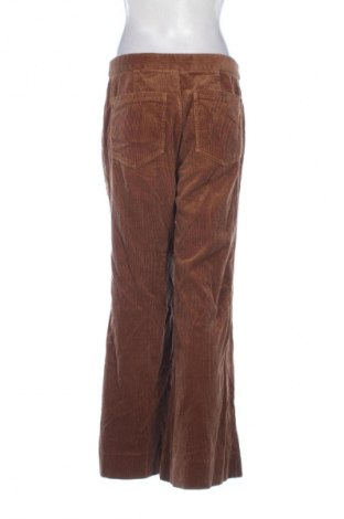 Damskie sztruksy Massimo Dutti, Rozmiar M, Kolor Brązowy, Cena 364,83 zł