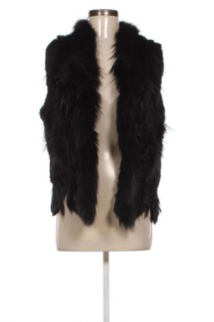 Γυναικείο γιλέκο Oakwood, Μέγεθος S, Χρώμα Μαύρο, Τιμή 37,99 €