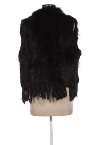 Γυναικείο γιλέκο Oakwood, Μέγεθος S, Χρώμα Μαύρο, Τιμή 37,99 €