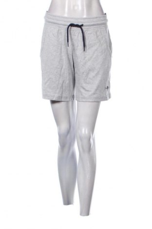 Damskie szorty Kangaroos, Rozmiar M, Kolor Szary, Cena 162,99 zł