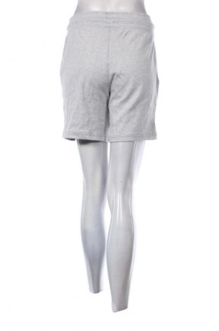 Damskie szorty Kangaroos, Rozmiar M, Kolor Szary, Cena 162,99 zł