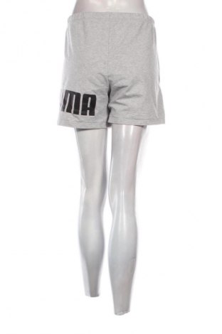 Dámske kraťasy  PUMA, Veľkosť M, Farba Sivá, Cena  17,39 €