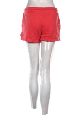 Damen Shorts Superdry, Größe M, Farbe Rot, Preis 20,93 €