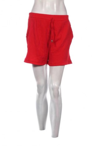 Dámské kraťasy  Unbranded, Velikost M, Barva Červená, Cena  127,00 Kč
