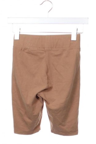 Damen Leggings Sinsay, Größe XS, Farbe Braun, Preis € 9,72