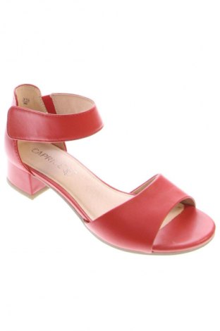 Damenschuhe Caprice, Größe 36, Farbe Rot, Preis € 58,31