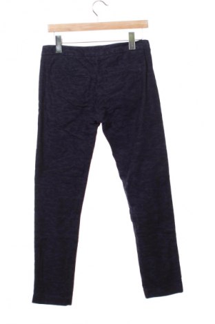 Damskie spodnie Calvin Klein Jeans, Rozmiar M, Kolor Niebieski, Cena 99,99 zł