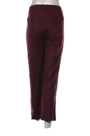 Damenhose Peter Hahn, Größe XL, Farbe Rot, Preis € 43,99