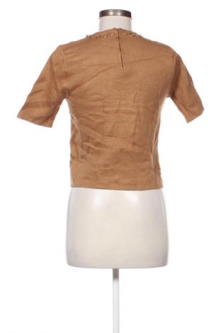 Damenpullover Zara, Größe S, Farbe Braun, Preis € 13,99