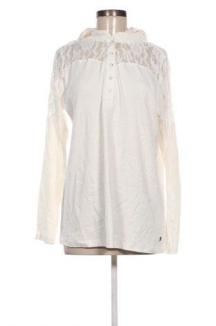 Damska bluza Kangaroos, Rozmiar XL, Kolor Kolorowy, Cena 250,99 zł