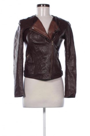 Дамско кожено яке Massimo Dutti, Размер M, Цвят Кафяв, Цена 156,94 лв.