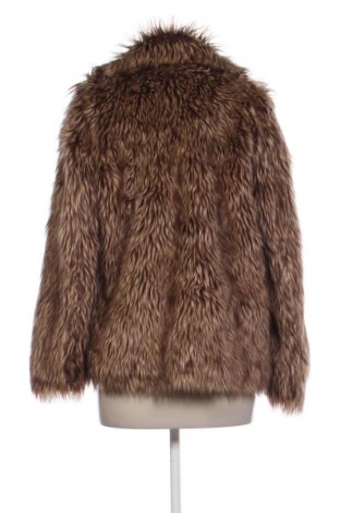 Dámsky kabát  Miss Selfridge, Veľkosť XS, Farba Viacfarebná, Cena  31,68 €