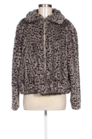 Dámsky kabát  Primark, Veľkosť L, Farba Viacfarebná, Cena  20,95 €