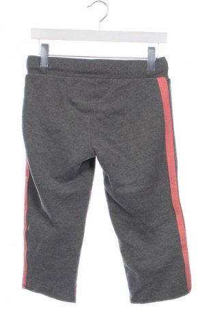 Pantaloni trening de femei Superdry, Mărime XS, Culoare Multicolor, Preț 102,63 Lei