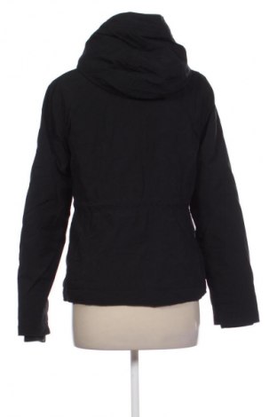 Damenjacke Hollister, Größe S, Farbe Schwarz, Preis 22,99 €
