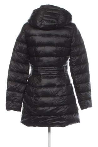 Damenjacke Laundry By Shelli Segal, Größe XS, Farbe Schwarz, Preis 46,99 €