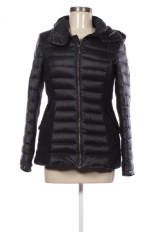 Kurtka damska MCS, Rozmiar S, Kolor Niebieski, Cena 722,87 zł