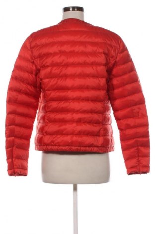 Дамско яке Massimo Dutti, Размер XL, Цвят Червен, Цена 264,92 лв.