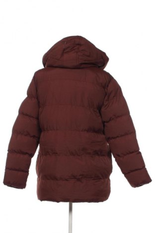 Damenjacke Threadbare, Größe M, Farbe Braun, Preis € 62,99