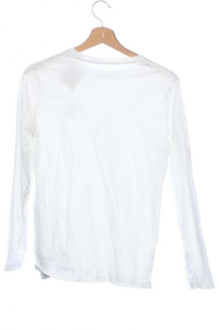 Dziecięca bluzka Calvin Klein Jeans, Rozmiar 14-15y/ 168-170 cm, Kolor Biały, Cena 47,99 zł