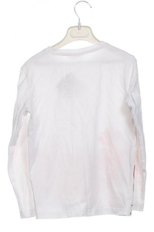 Gyerek blúz Coccodrillo, Méret 5-6y / 116-122 cm, Szín Sokszínű, Ár 2 269 Ft