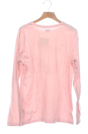 Παιδική μπλούζα F&F, Μέγεθος 14-15y/ 168-170 εκ., Χρώμα Ρόζ , Τιμή 4,99 €