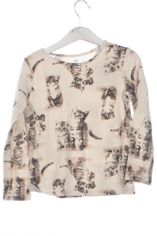 Detská blúzka  H&M, Veľkosť 4-5y/ 110-116 cm, Farba Viacfarebná, Cena  6,14 €
