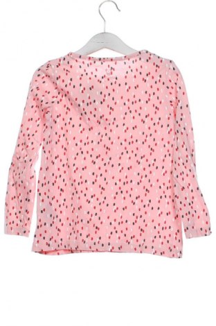 Kinder Shirt Lupilu, Größe 4-5y/ 110-116 cm, Farbe Mehrfarbig, Preis 4,99 €