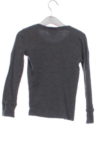 Kinder Shirt Ralph Lauren, Größe 5-6y/ 116-122 cm, Farbe Grau, Preis € 13,81