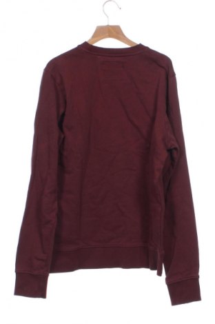 Детска блуза Tom Tailor, Размер 15-18y/ 170-176 см, Цвят Кафяв, Цена 15,99 лв.