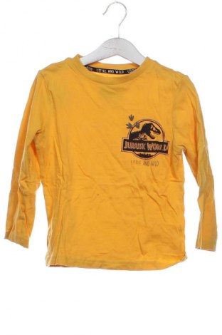 Детска блуза Unbranded, Размер 4-5y/ 110-116 см, Цвят Оранжев, Цена 9,99 лв.