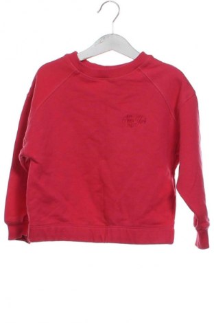 Kinder Shirt Zara, Größe 5-6y/ 116-122 cm, Farbe Mehrfarbig, Preis 11,16 €