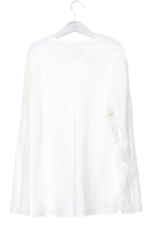 Dziecięca bluzka Zara, Rozmiar 10-11y/ 146-152 cm, Kolor Biały, Cena 32,32 zł