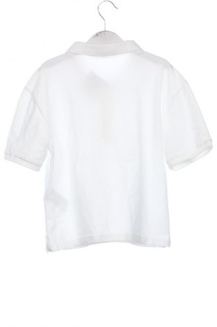 Kinder T-Shirt Calvin Klein Jeans, Größe 14-15y/ 168-170 cm, Farbe Weiß, Preis € 10,23