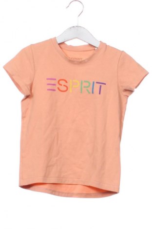 Kinder T-Shirt Esprit, Größe 5-6y/ 116-122 cm, Farbe Braun, Preis 7,67 €