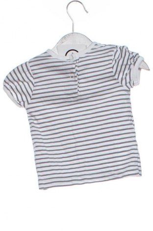 Dětské tričko  Topomini, Velikost 6-9m/ 68-74 cm, Barva Vícebarevné, Cena  148,00 Kč