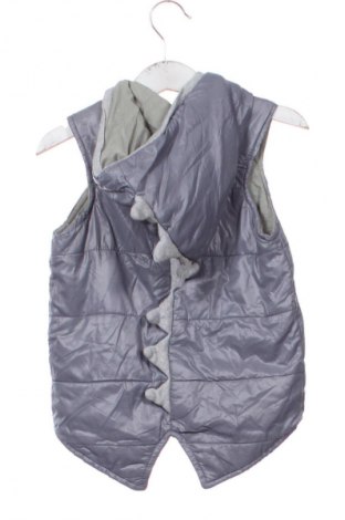 Detská vesta  Unbranded, Veľkosť 2-3y/ 98-104 cm, Farba Sivá, Cena  10,74 €