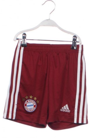 Dětské krátké kalhoty  Adidas, Velikost 6-7y/ 122-128 cm, Barva Vícebarevné, Cena  346,00 Kč